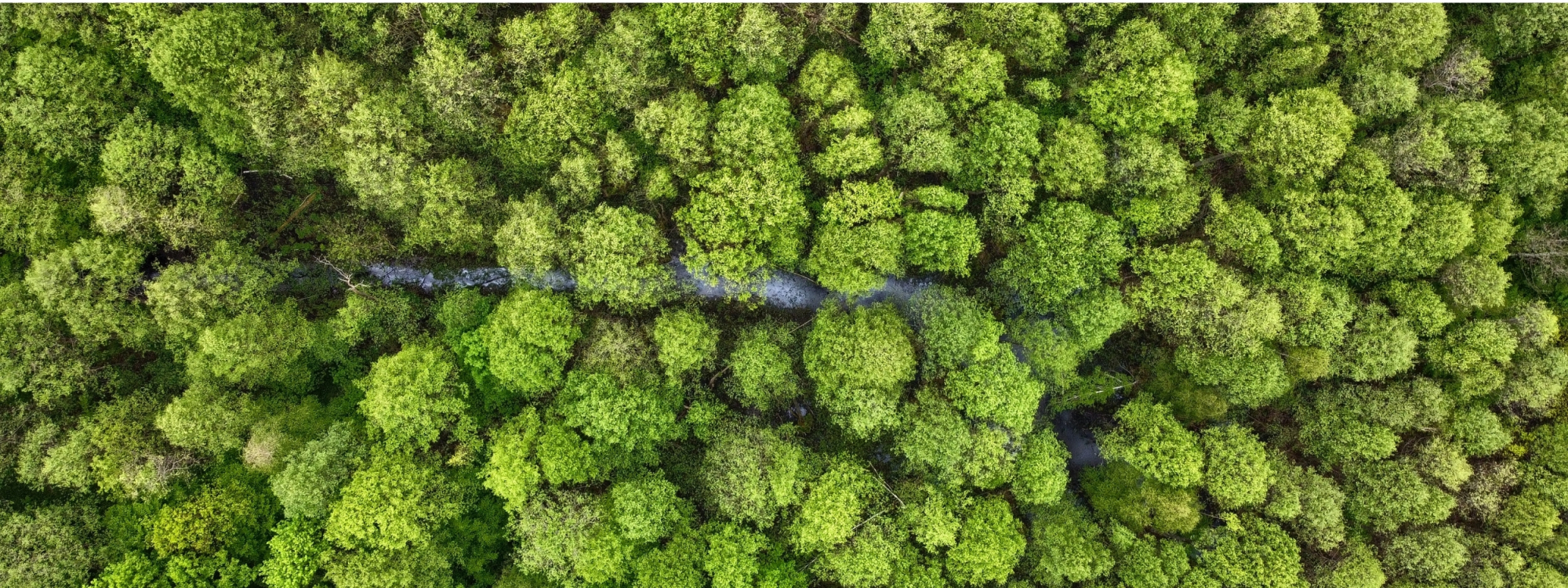 Park Krajobrazowy Stawki